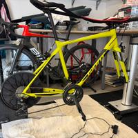 Ecosistema rulli indoor