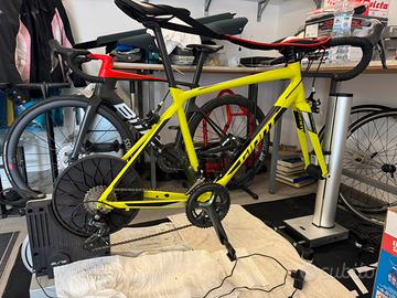 Ecosistema rulli indoor