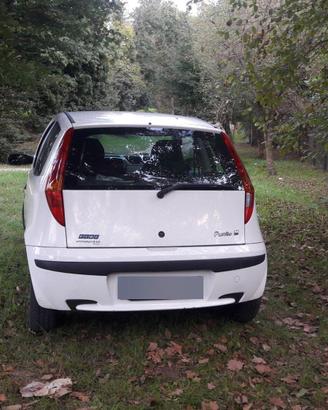 Fiat punto ELX