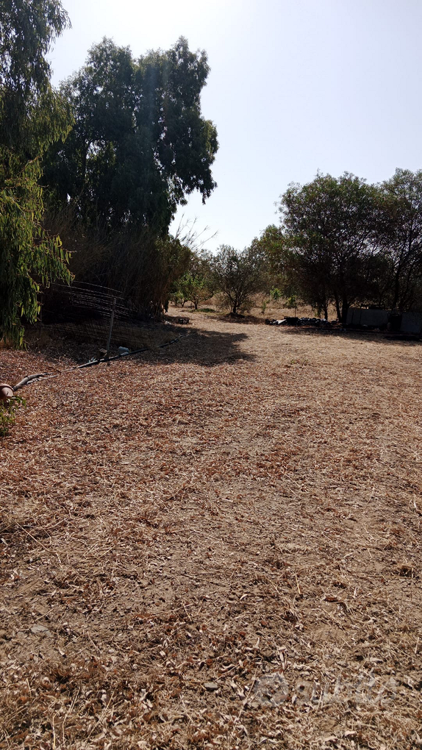 Terreno agricolo - Vista 4