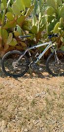 mountain bike  marca trek