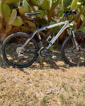 mountain bike  marca trek