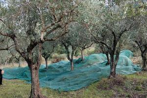 Terreno in via Tempa Rossa, 64