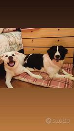 Casa, appartamento, monolocale