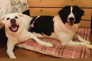 Casa, appartamento, monolocale