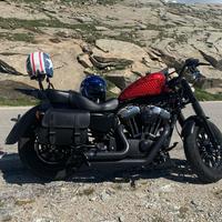 Harley forty eight abs