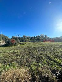 Terreno Agricolo Ercolano [Cod. rif 3192924VCG]