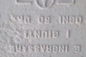 Invertitore motore marino bowman