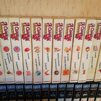 esplorando il corpo umano 