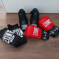 kickboxe/muay thai