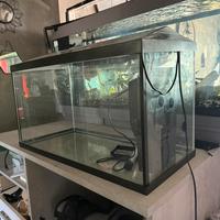 Acquario 100 l