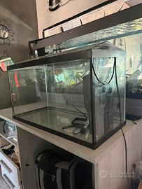 Acquario 100 l