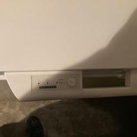 Congelatore a pozzetto Liebherr 3032