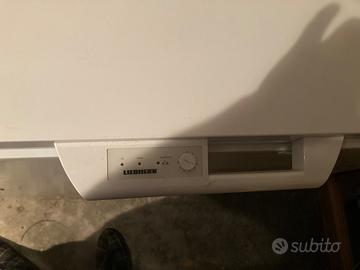 Congelatore a pozzetto Liebherr 3032