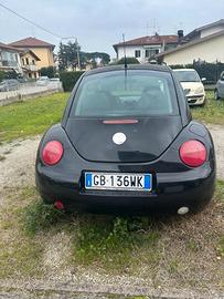 New beetle