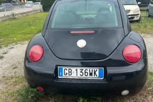 New beetle