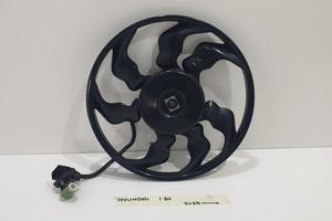 VENTOLA RADIATORE HYUNDAI i10 Serie (AC3, AI3) Ben