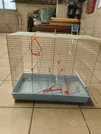 gabbia per uccellini 