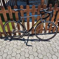 Canyon Endurance AL