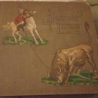 17 Album figurine  Liebig dal 1922 al 1976