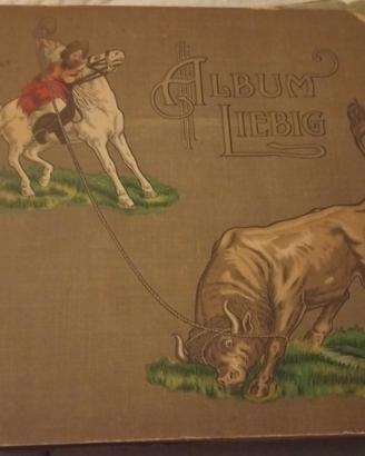 17 Album figurine  Liebig dal 1922 al 1976