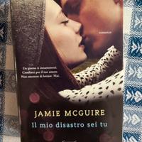 Il mio disastro sei tu Jamie McGuire