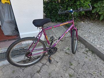 mountain bike da uomo
