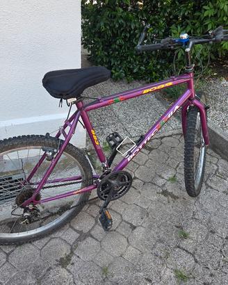 mountain bike da uomo