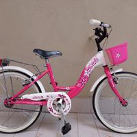 Bicicletta bimba 20" Dino bikes 