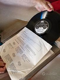 Collezione dischi in vinile