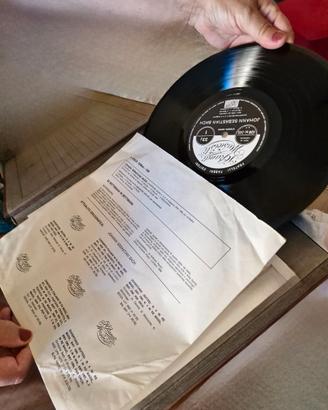 Collezione dischi in vinile