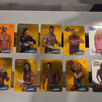 Carte WWE World wrestling 2004 Smack Down Raw