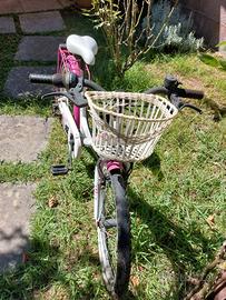 bicicletta 20"  