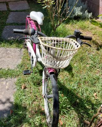 bicicletta 20"  