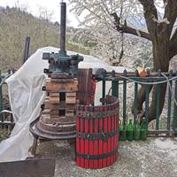 Torchio per uva