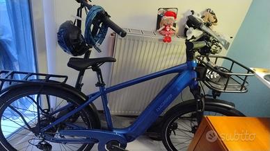bicicletta elettrica