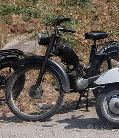 Motom jiunior