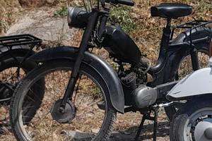 Motom jiunior