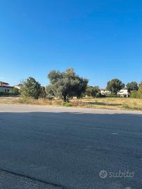 terreno agricolo 5000 mq  2 accessi  in abitato