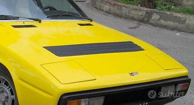 Griglia anteriore Bagheera.