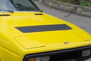 Griglia anteriore Bagheera.