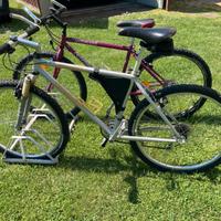 Specialized anni ‘90