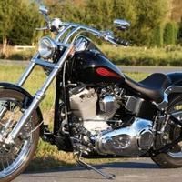 Harley Davidson Softail custom come Nuova