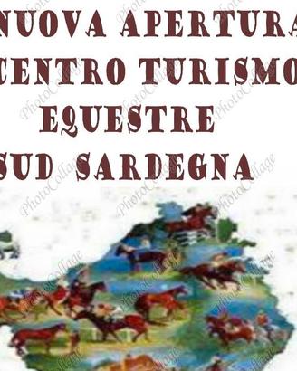 Soci per nuova apertura centro equestre