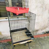 Gabbiette per uccellini 