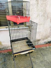 Gabbiette per uccellini 