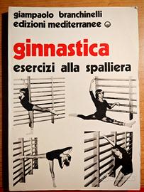 Ginnastica, esercizi alla spalliera