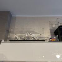 Set Lego 21320 Dinosauri Lego Ideas