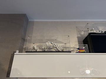 Set Lego 21320 Dinosauri Lego Ideas