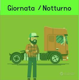 Autista ce